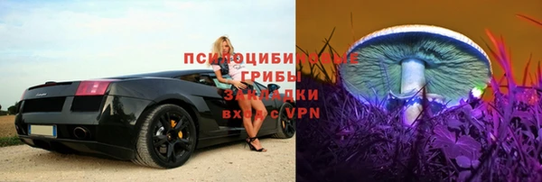 прущие крисы Сафоново