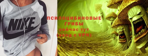 ПСИЛОЦИБИНОВЫЕ ГРИБЫ Саяногорск