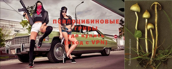 прущие крисы Сафоново