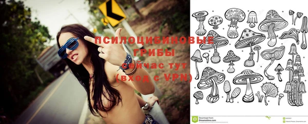 ПСИЛОЦИБИНОВЫЕ ГРИБЫ Саяногорск