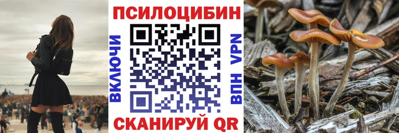 Галлюциногенные грибы прущие грибы  блэк спрут маркетплейс  Серафимович  хочу  